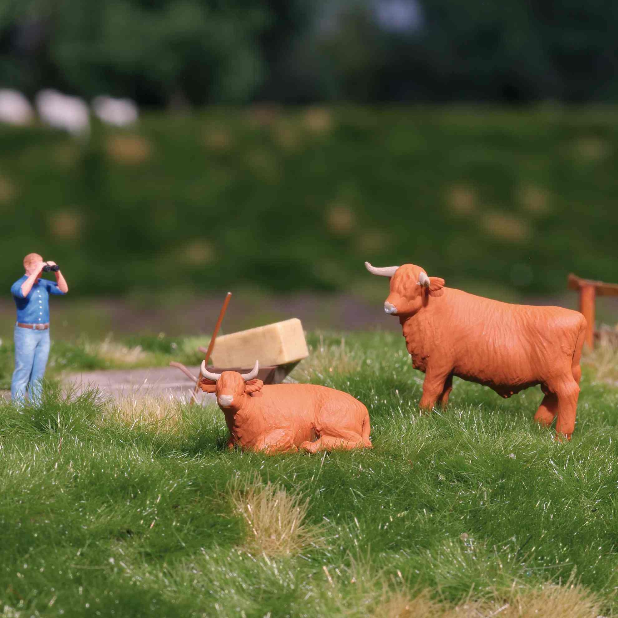 Action-Set: Kuh mit Stier