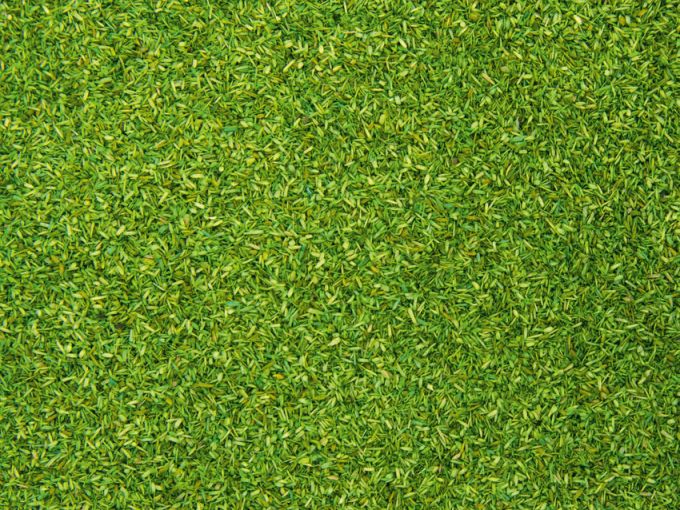 Streumaterial hellgrün, 165 g Beutel