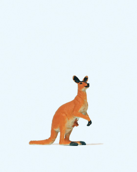 Känguruh