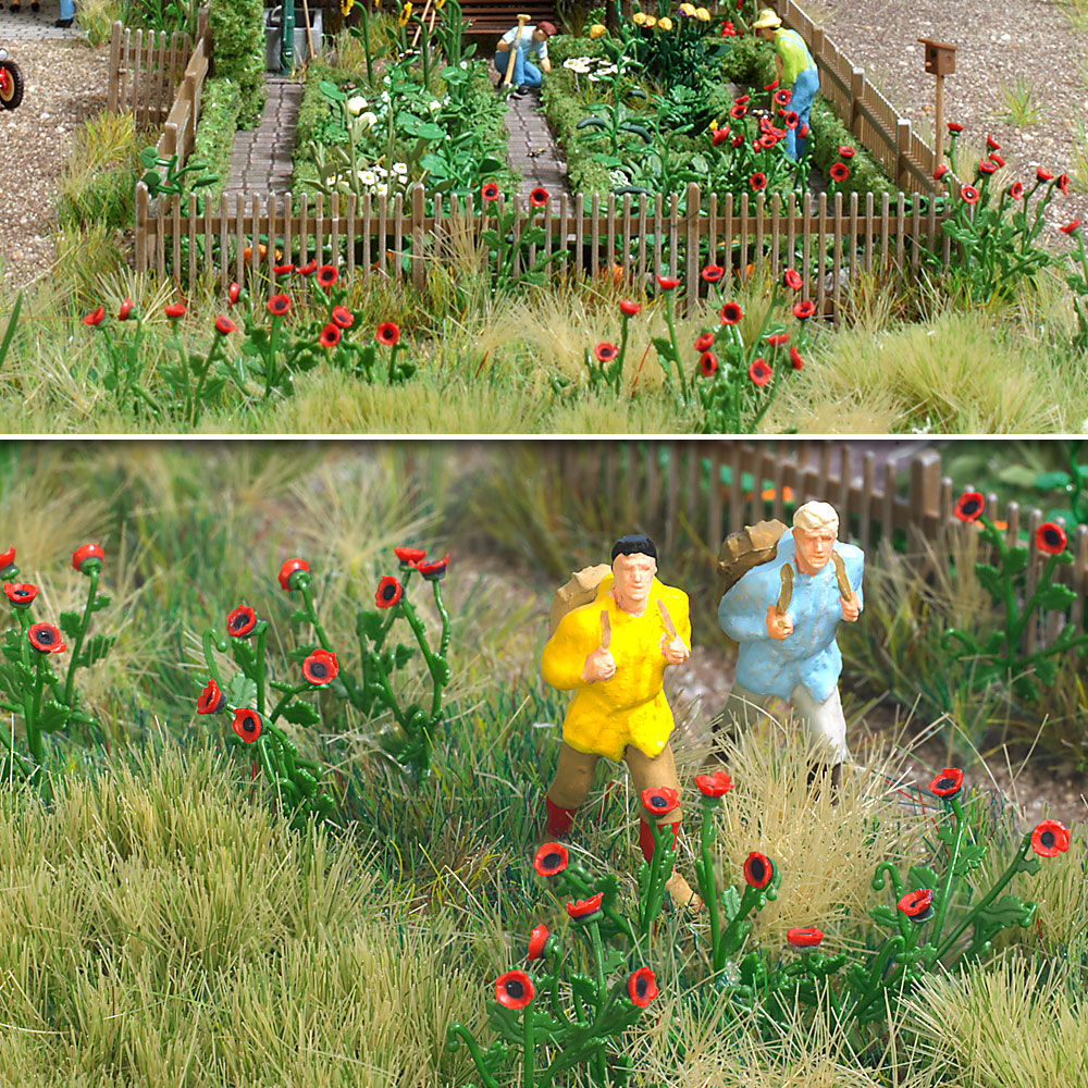 H0-Klatschmohn