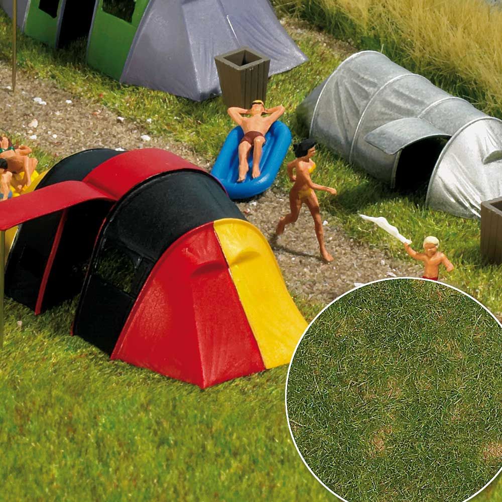 H0-Sommergras