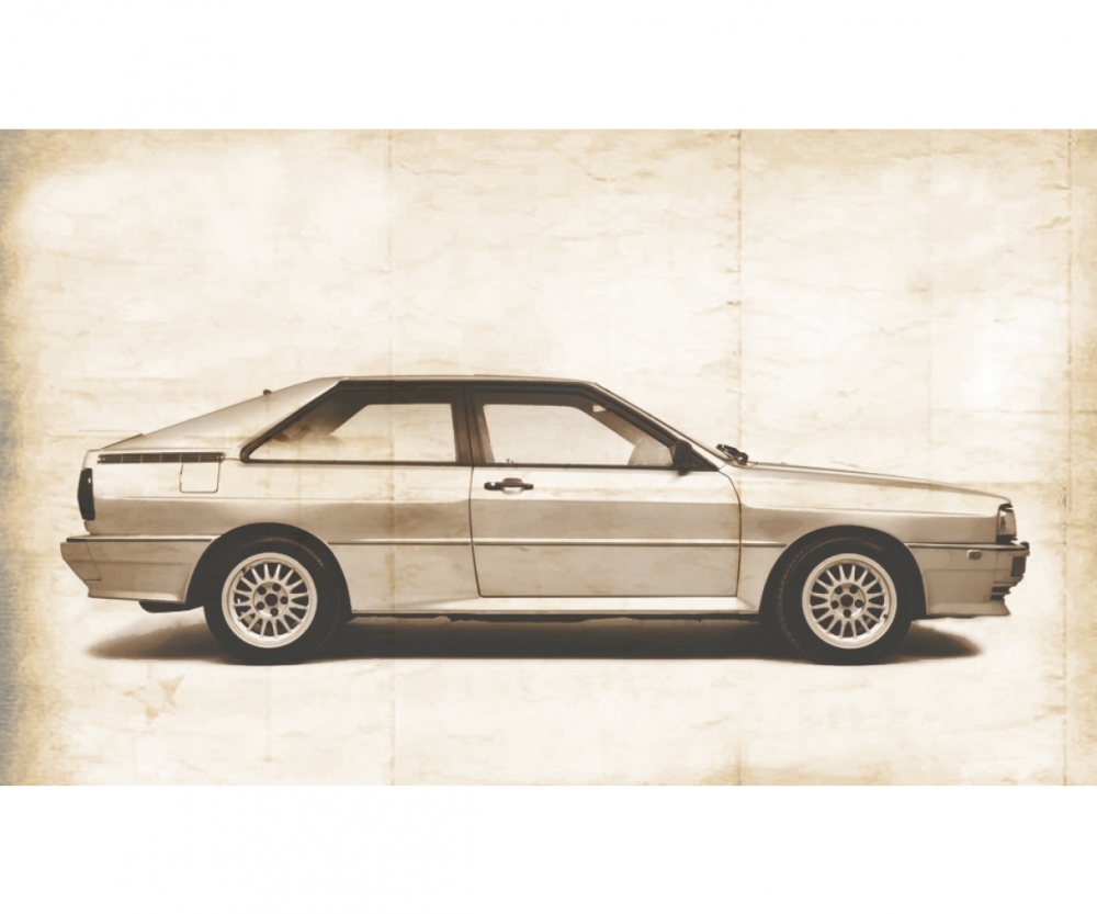 1:24 Audi Quattro Rally