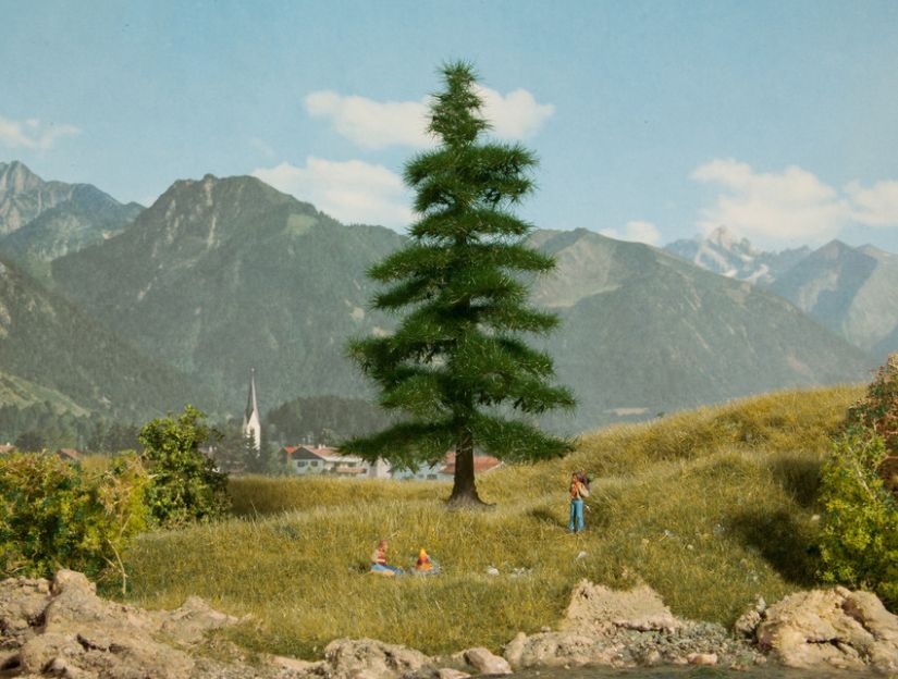 H0/TT/N-Nordmanntanne, 14,5 cm hoch