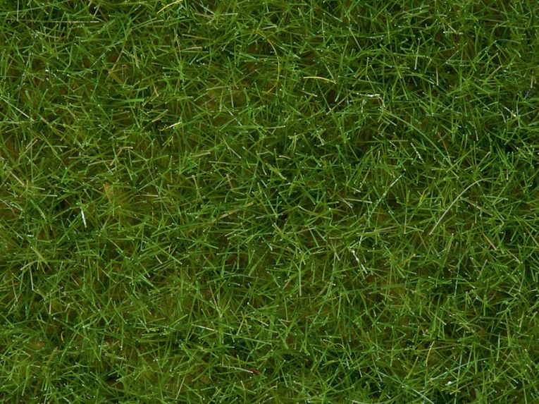 Wildgras XL, hellgrün, 12 mm, 40g Beutel