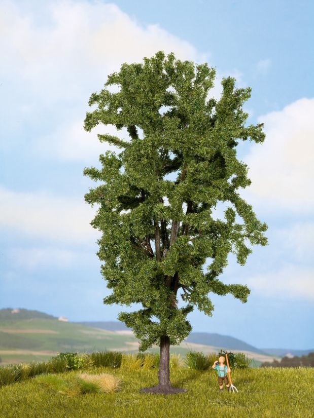 0/H0/TT/N-Rosskastanie, 19 cm hoch