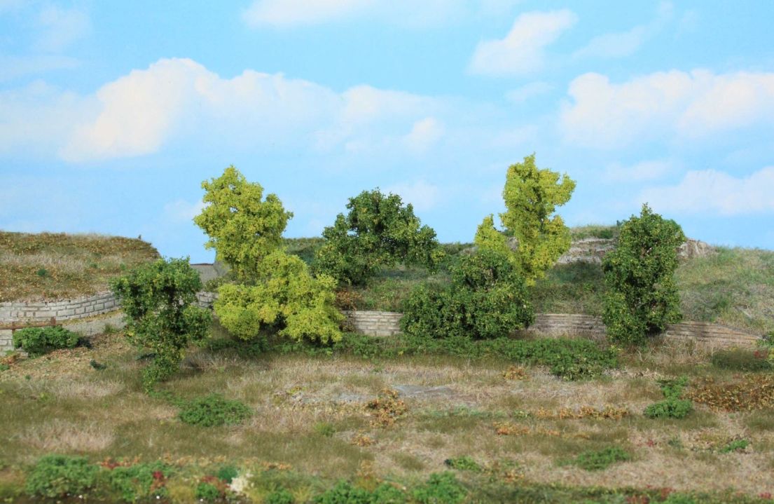 7 Büsche und Sträucher 6 - 8 cm