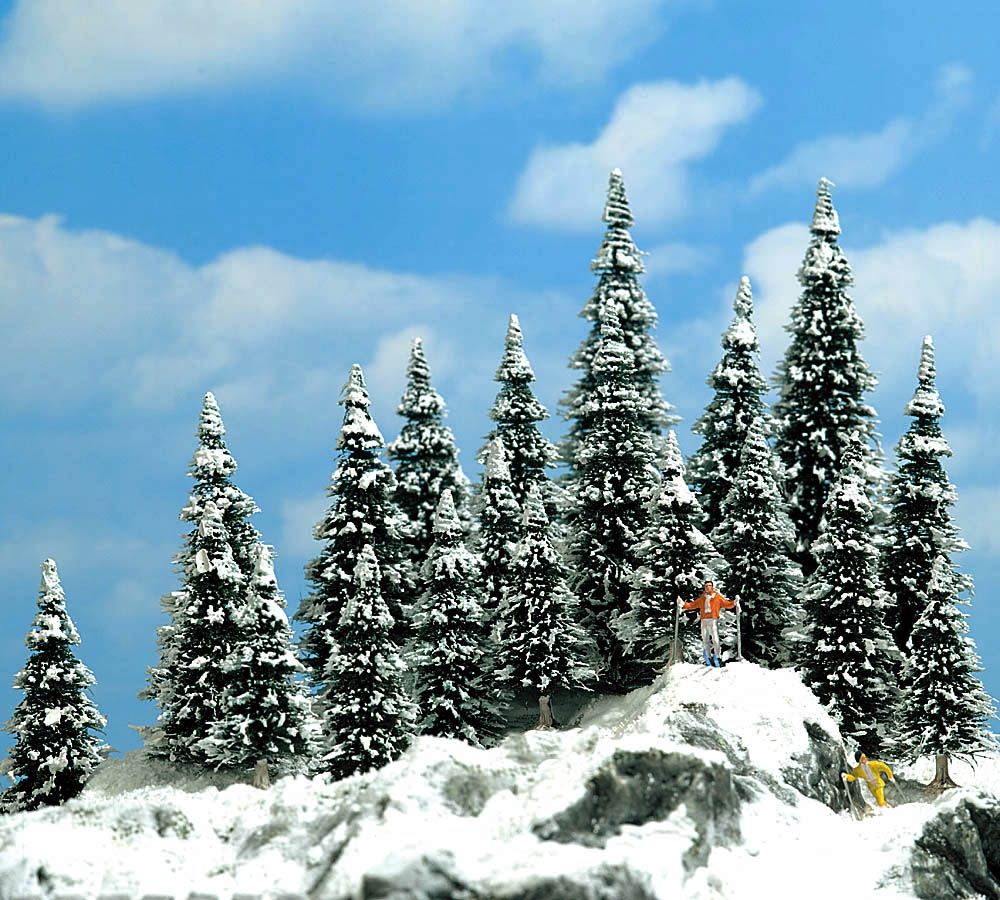 TT/N-20 Schneetannen, 30-60 mm hoch