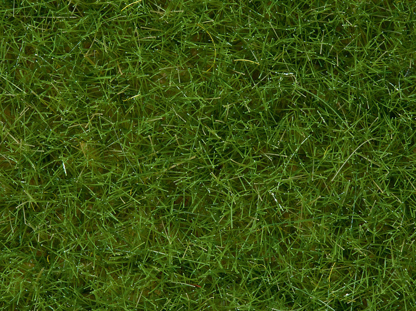 Wildgras, hellgrün 50 g Beutel