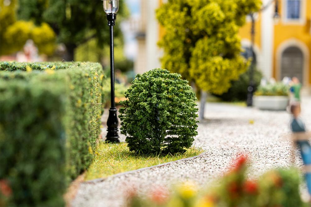 10 Vorgartenbäume, Thuja, rund, 40 mm