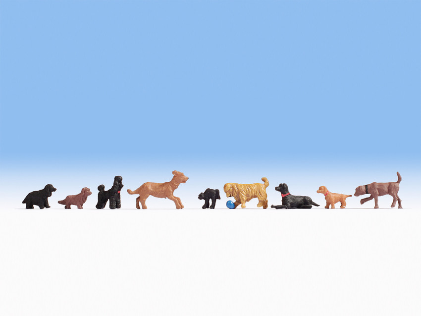 H0-Hunde