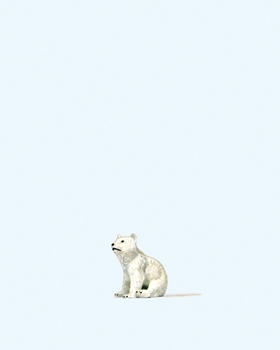 Junger Eisbär