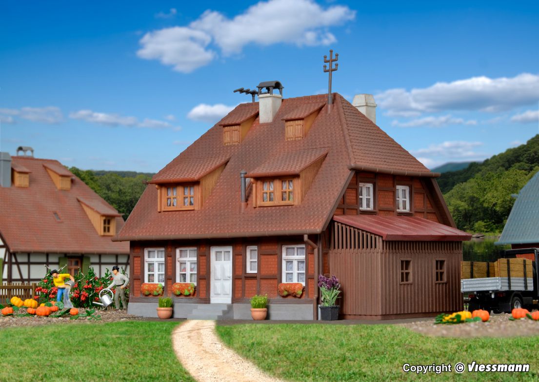 H0-Haus Mühlenweg Spreewald/Beleuchtung
