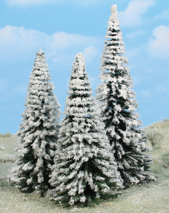 0/H0-3 Schneetannen, 16-21 cm