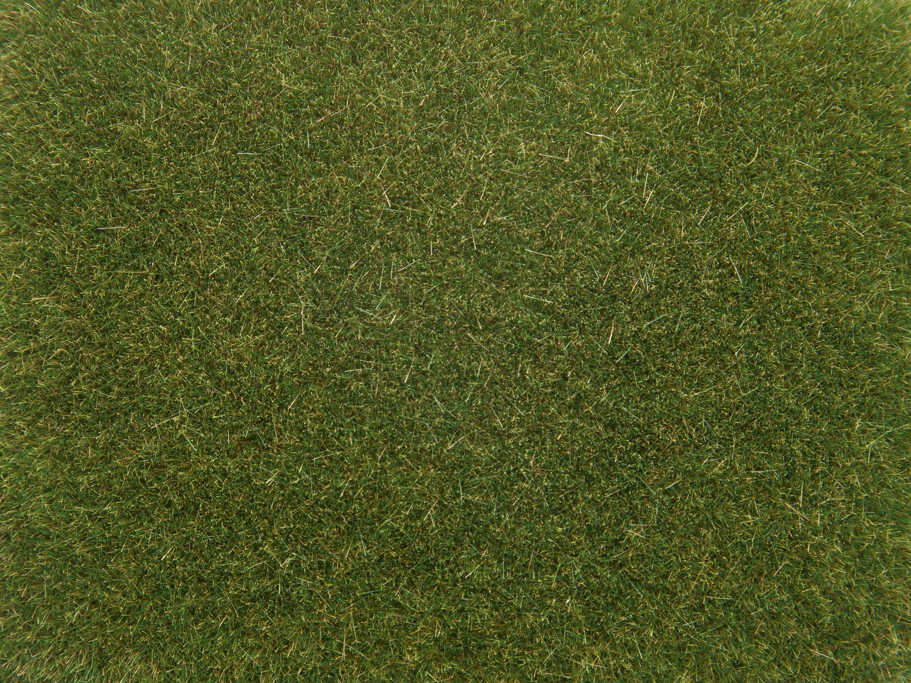 0/H0/TT-Streugras, mittelgrün, 4 mm, 20g