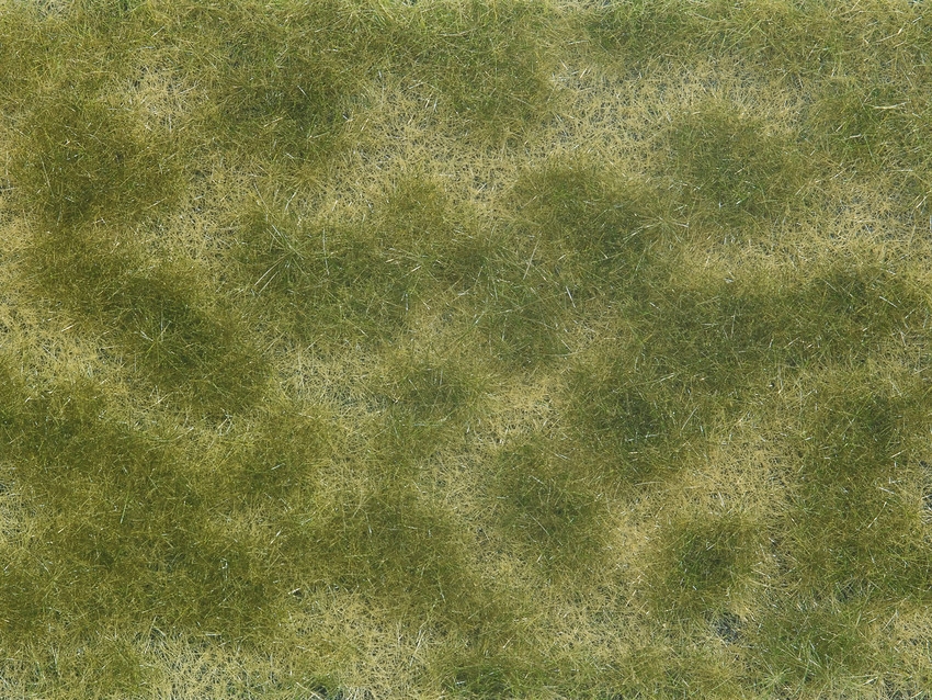 0/H0/TT-Bodendecker-Foliage  grün/beige