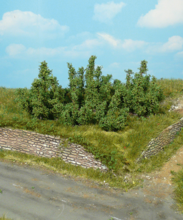 10 Büsche 3 cm