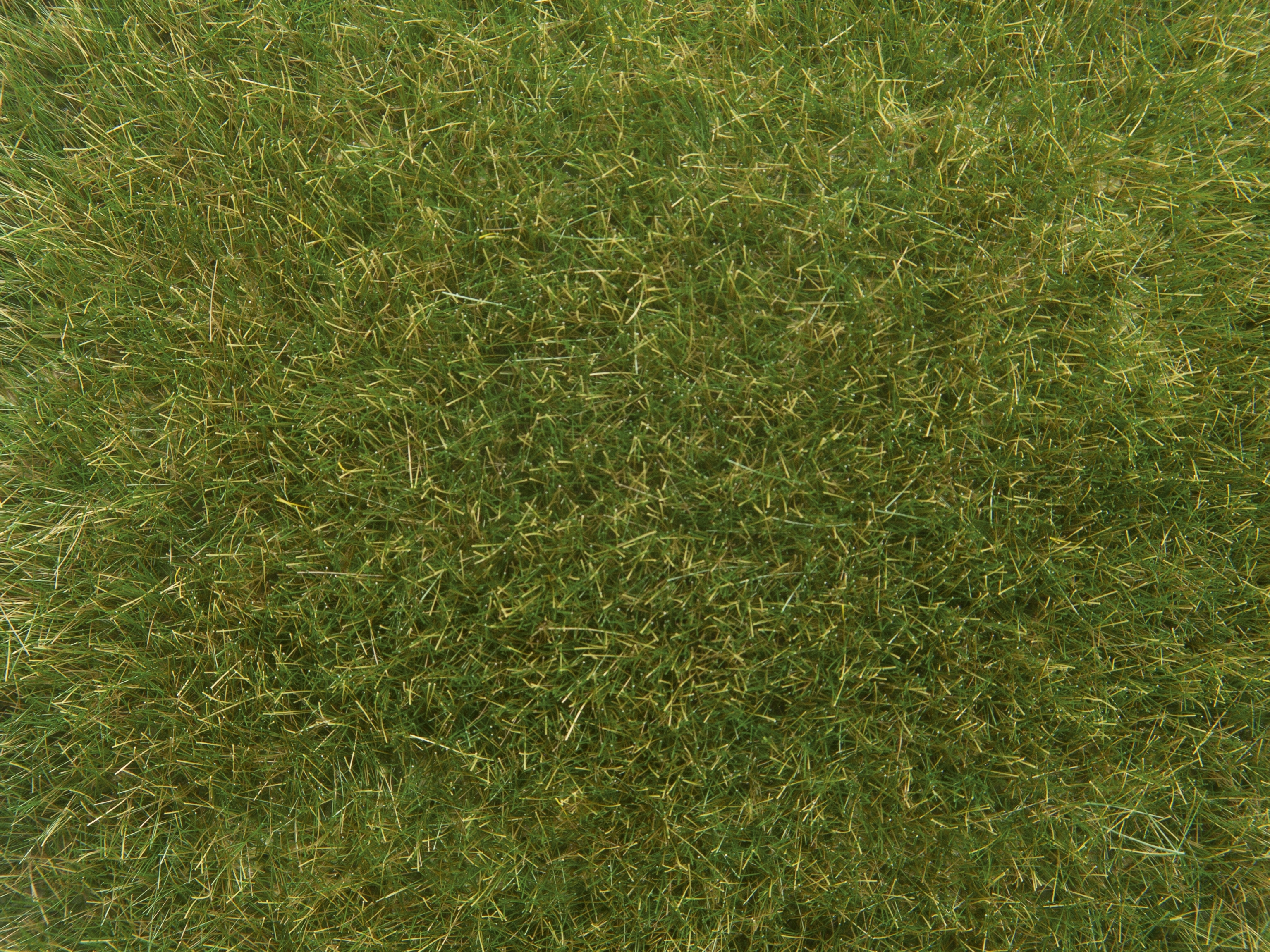 0/H0/TT-Wildgras, mittelgrün, 9 mm, 50 g