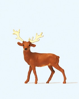 Hirsch