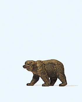 Braunbär