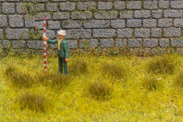 Grasbüschel, trockenes Gras