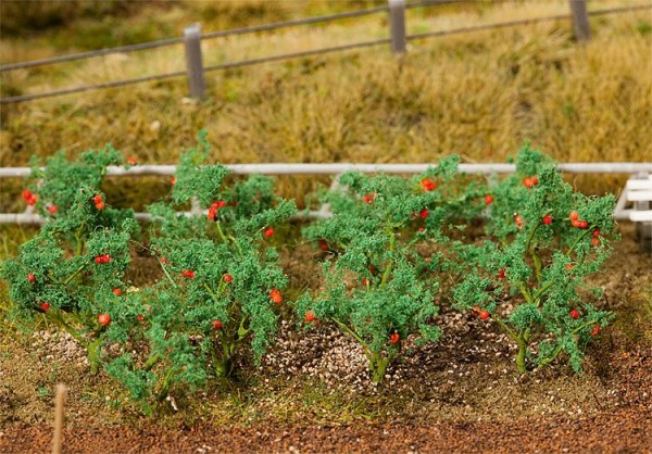 H0-18 Tomatenpflanzen, 15 mm hoch