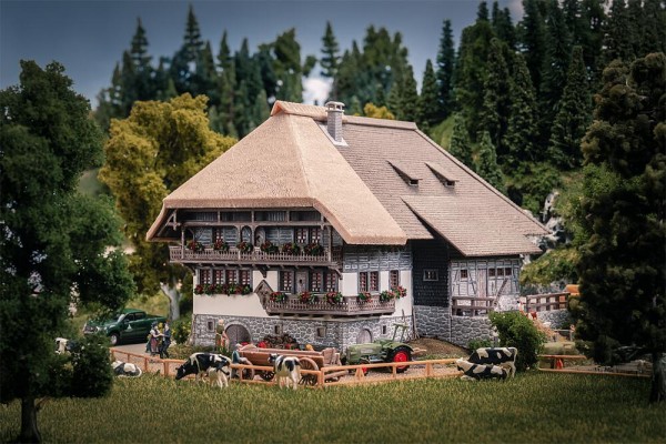 Jubiläumsmodell Schwarzwaldhof