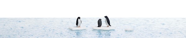 H0-Action-Set: Pinguine auf Eis