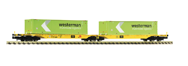 Container-Doppeltragwagen, Westerman