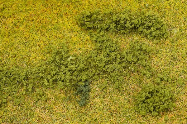 Blätterfoliage, grün