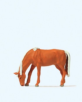 Weidendes Pferd