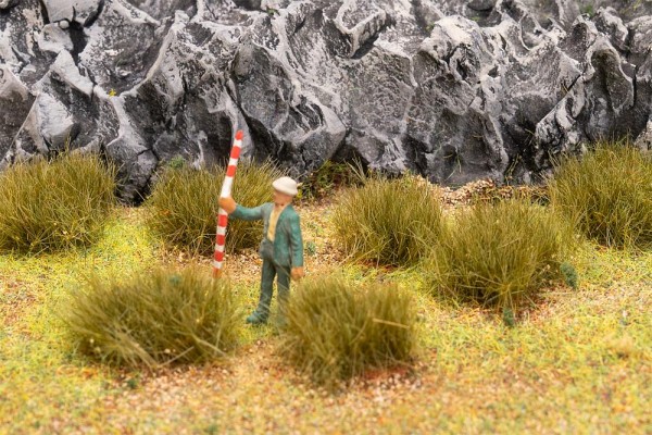 Große Grasbüschel, trockenes