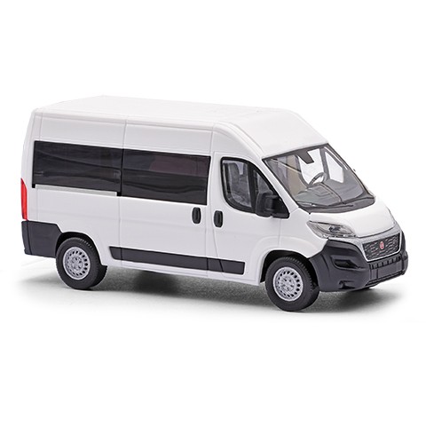 Fiat Ducato Bus, Weiß