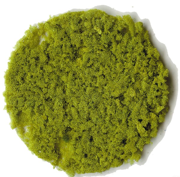 Belaubungsflocken hellgrün, grob 200 ml