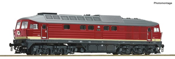 TT-Diesellokomotive BR 132, DR