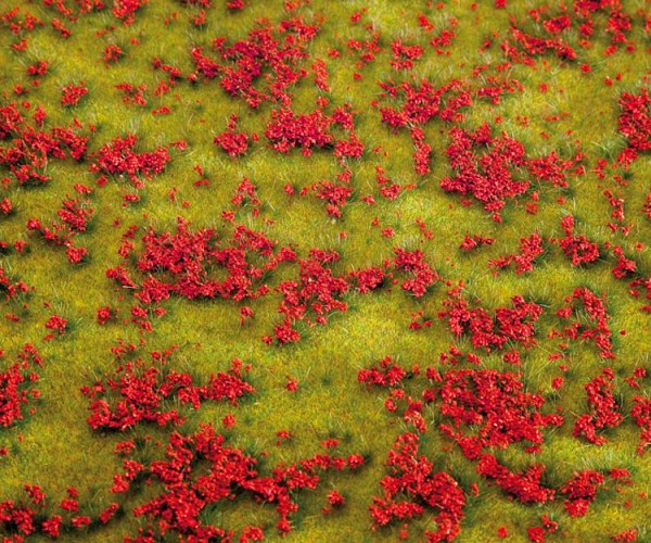 Landschafts-Segment, Blumenwiese, rot