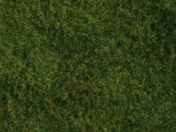 G-Z-Wildgras-Foliage, hellgrün, 20x23 cm