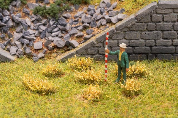 Blütenbüschel, gelb