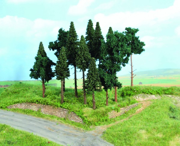 Nadelwald, 14 Nadelbäume 10-17 cm