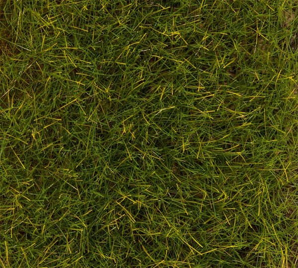 Fasern Sommerwiese 12mm, 30 g