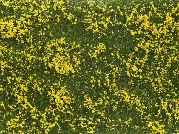 0/H0/TT-Bodendecker-Foliage, Wiese gelb