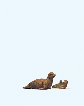 Seehund