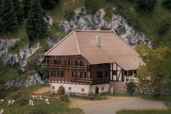 Jubiläumsmodell Schwarzwaldhof