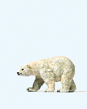 Eisbär