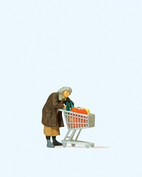 Obdachlose mit Einkaufswagen
