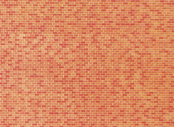 N-Mauerplatte, Backstein, 250 x 125 mm