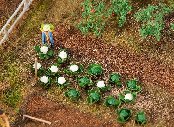 H0-10 Grün - und 10 Blumenkohlköpfe