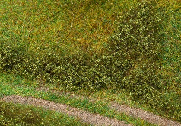 Blätterfoliage, sommergrün