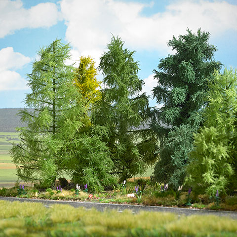 Lärche Sommer, 210 mm hoch