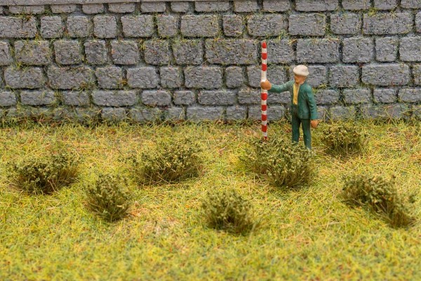 Blütenbüschel, dunkelgrün