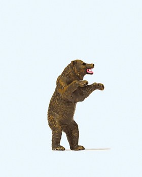 Braunbär